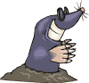 Gif animé taupe sourire